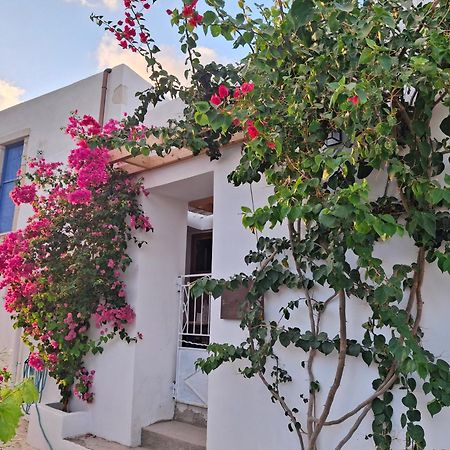 Lilium House Palekastro 아파트 외부 사진