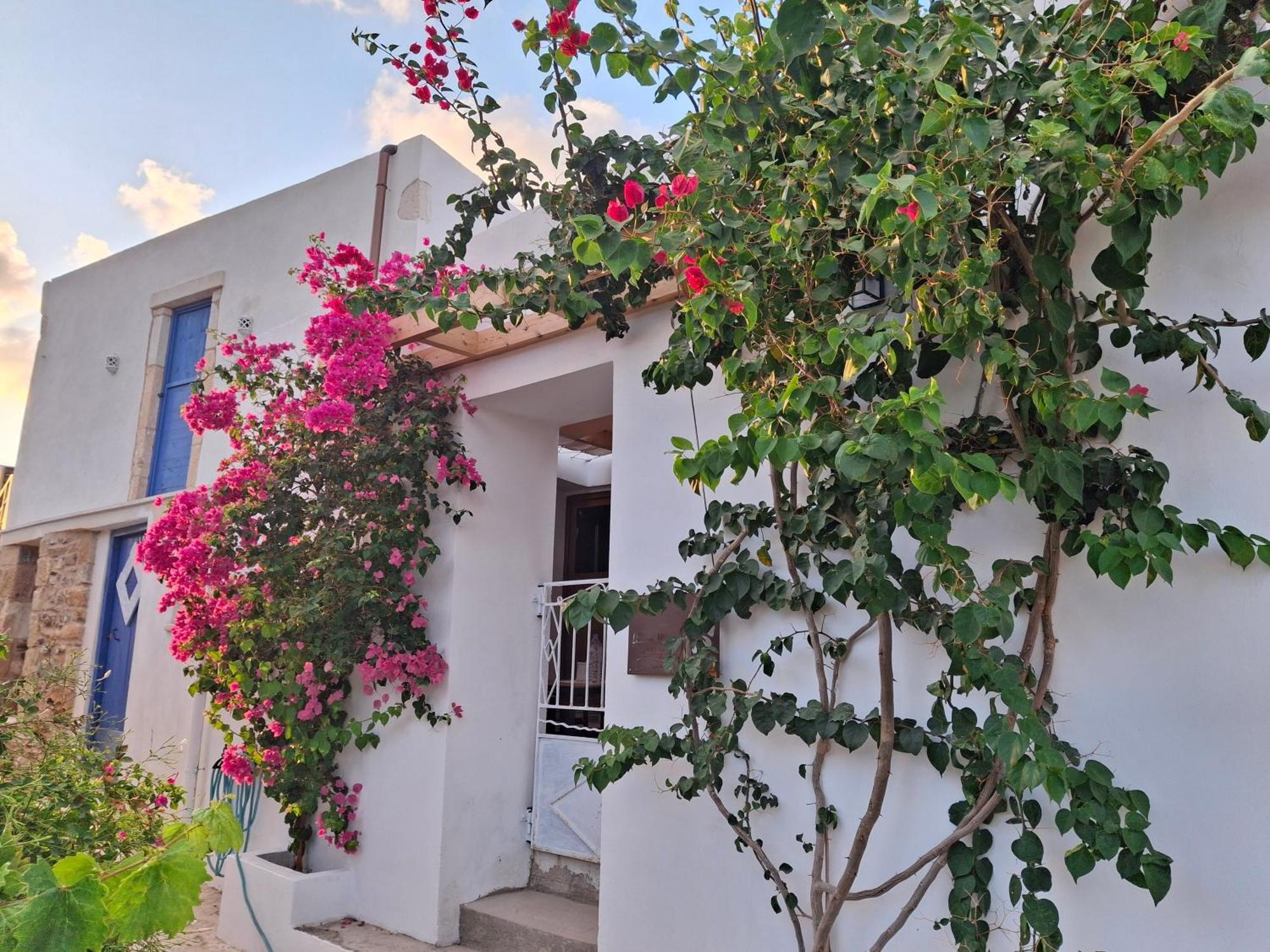 Lilium House Palekastro 아파트 외부 사진
